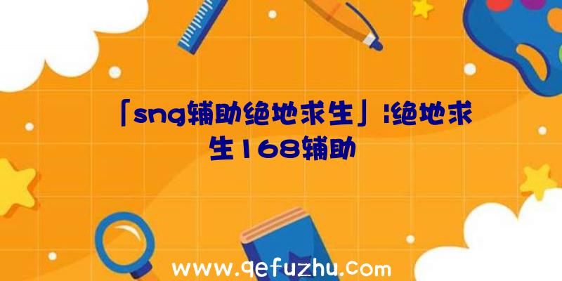 「sng辅助绝地求生」|绝地求生168辅助